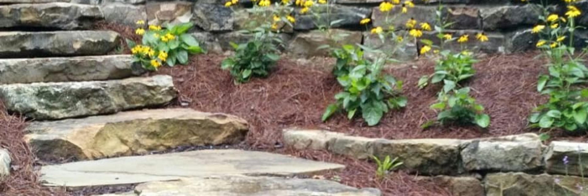 Tennessee Flagstone Step Treads Wholesale Step Tread Pricing Step